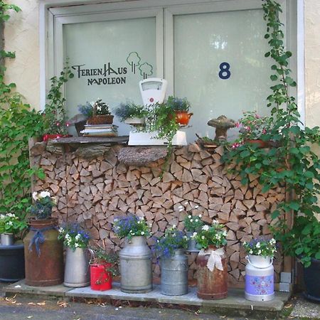 Ferienhaus Napoleon Waldmünchen Extérieur photo
