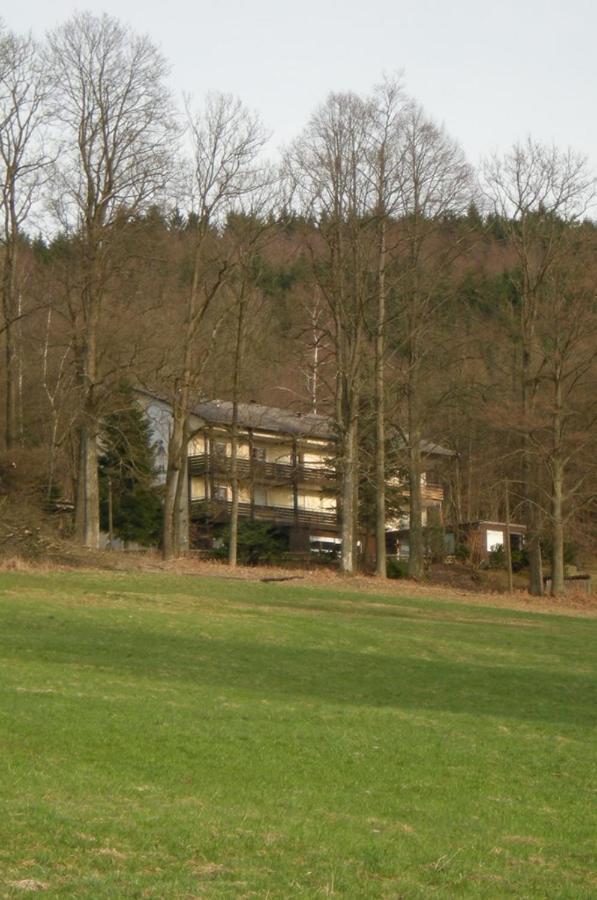 Ferienhaus Napoleon Waldmünchen Extérieur photo